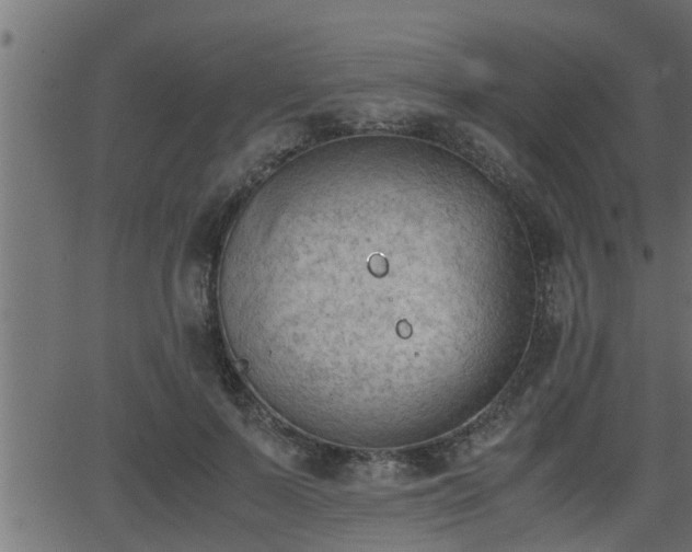 X0000062870695200601171422