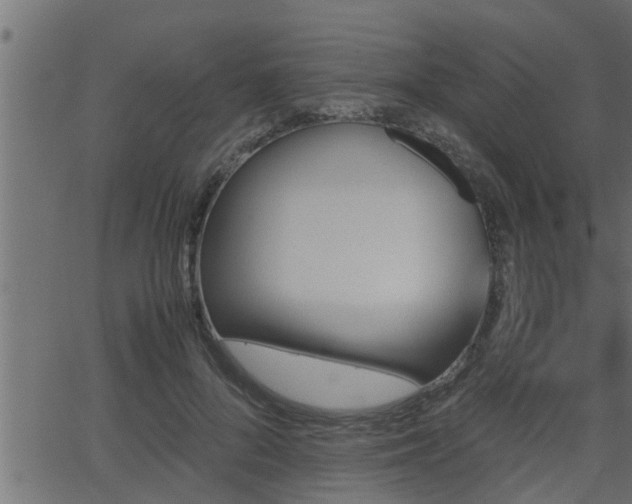 X0000062870696200601171422