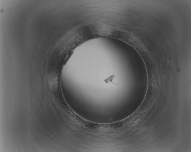 X0000062870697200601171422