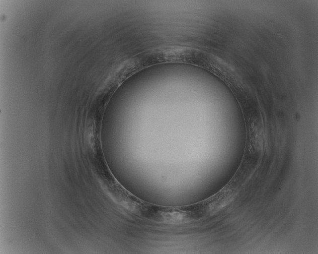 X0000062870698200601171422