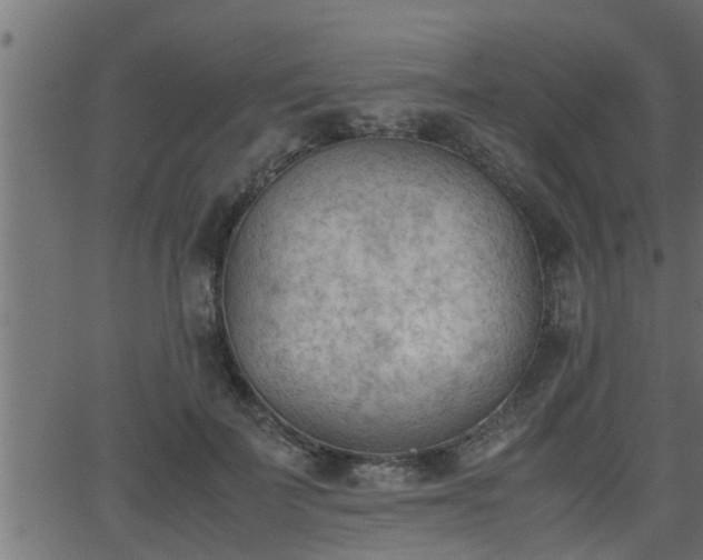 X0000062870699200601171422