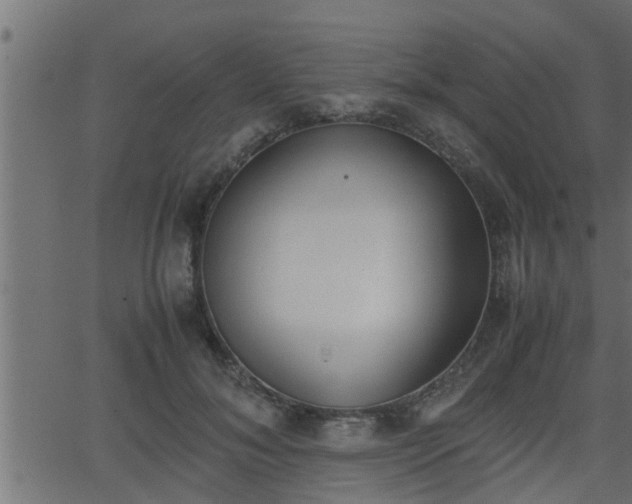 X0000062870700200601171422