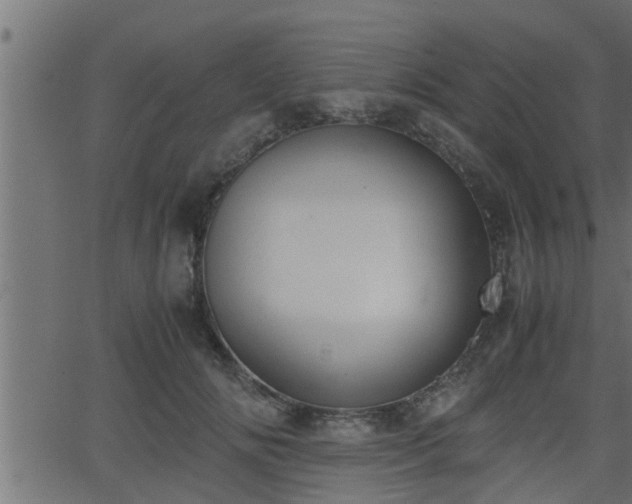 X0000062870702200601171421