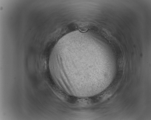 X0000062870703200601171421