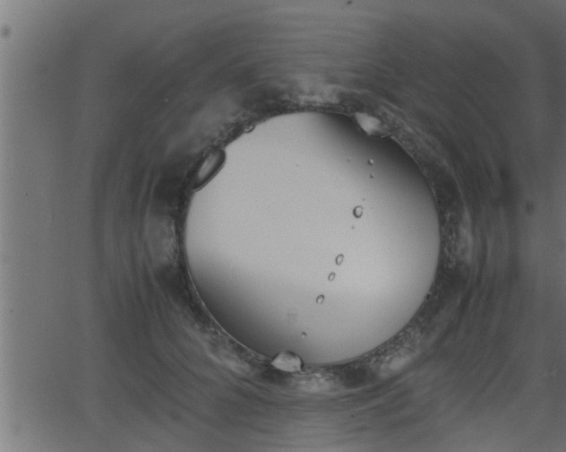 X0000062870704200601171421