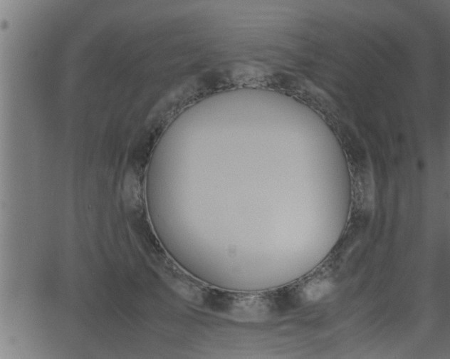 X0000062870705200601171421