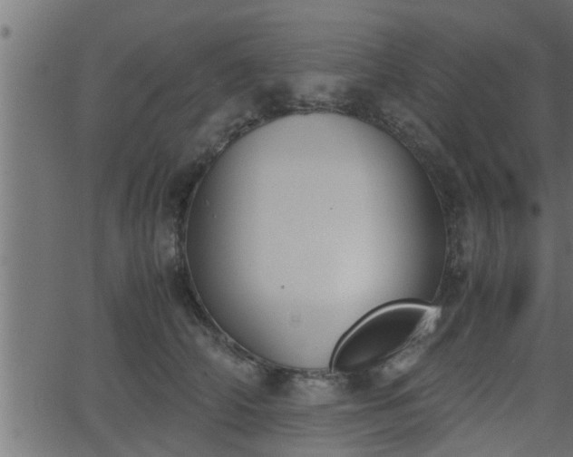 X0000062870706200601171421