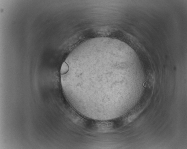 X0000062870707200601171421