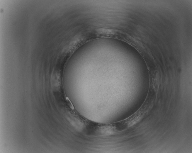 X0000062870708200601171421