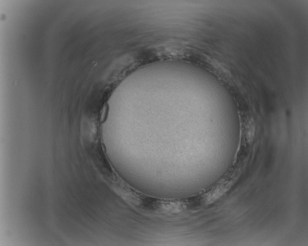 X0000062870709200601171421