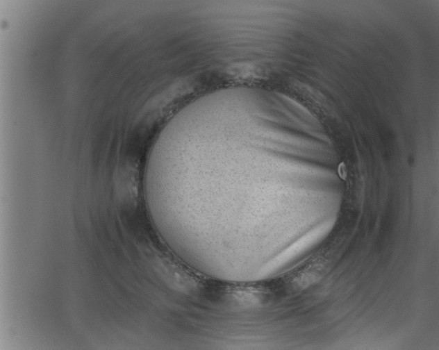 X0000062870710200601171421