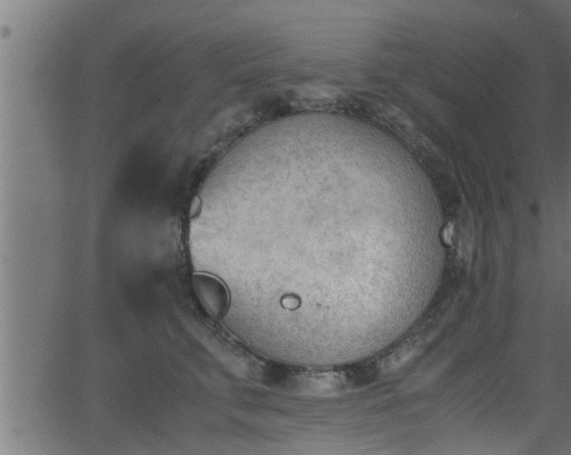 X0000062870711200601171421