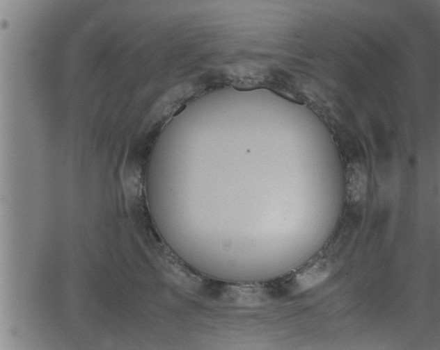 X0000062870713200601171421