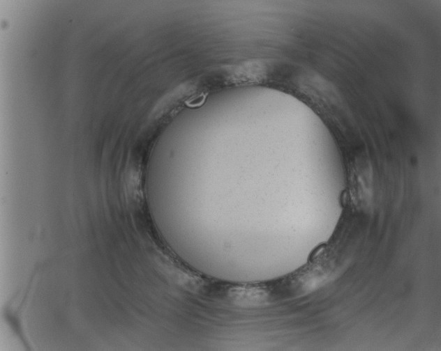 X0000062870714200601171421