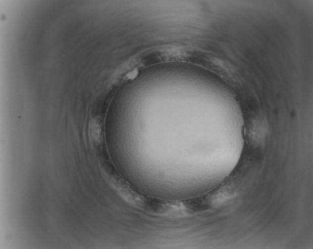 X0000062870715200601171421