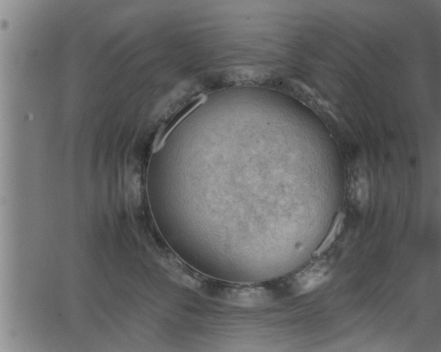 X0000062870716200601171421