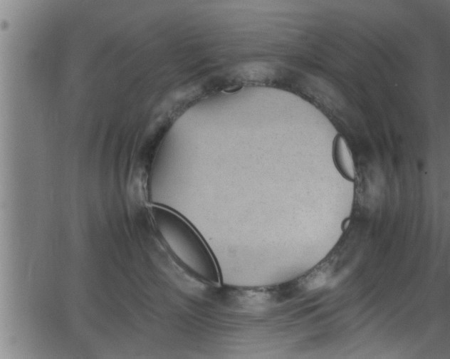 X0000062870718200601171421