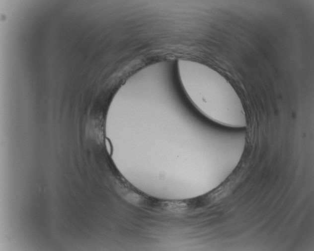 X0000062870719200601171421