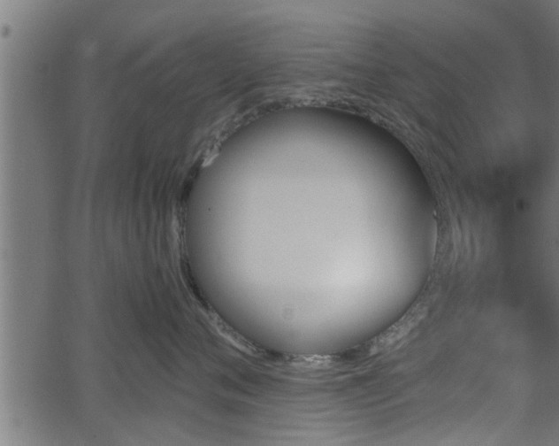 X0000062870720200601171421