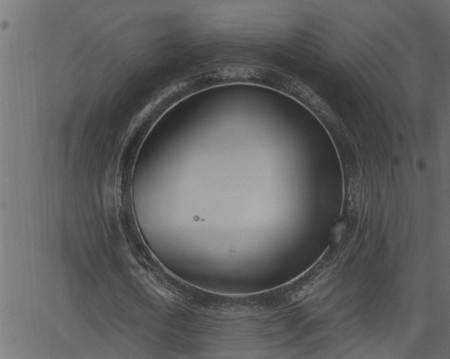 X0000062870722200601171420