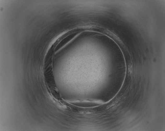 X0000062870724200601171420