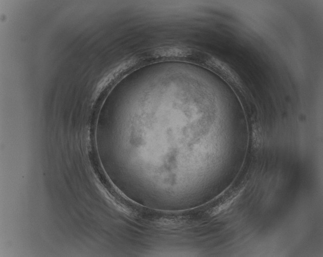 X0000062870725200601171420