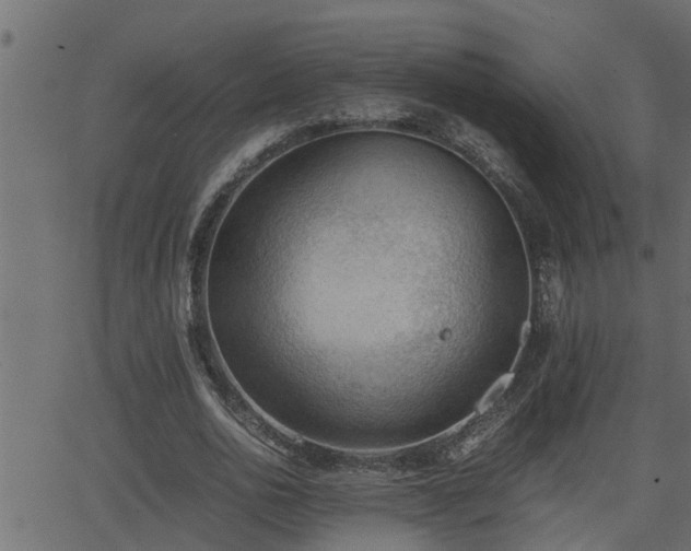 X0000062870726200601171420