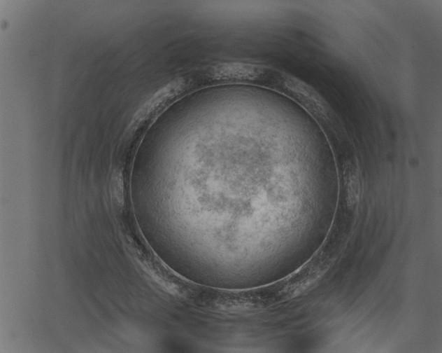 X0000062870729200601171421