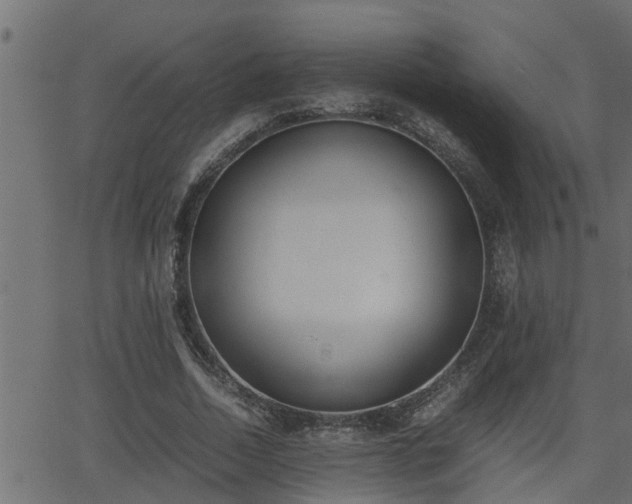 X0000062870730200601171421