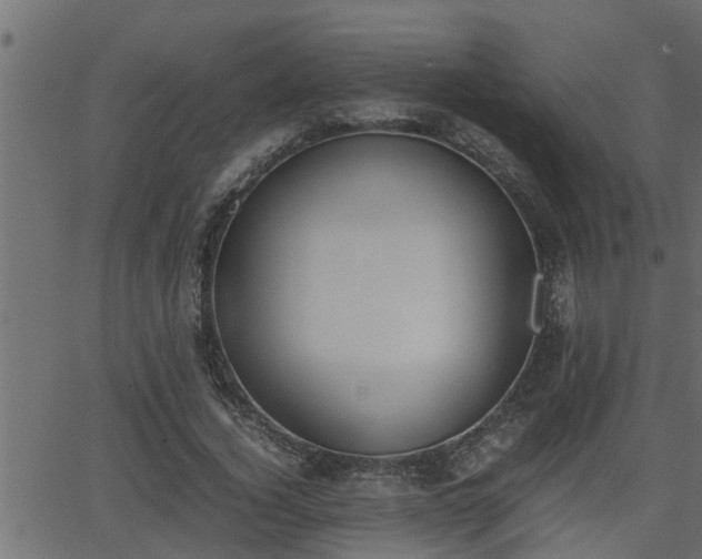 X0000062870732200601171421