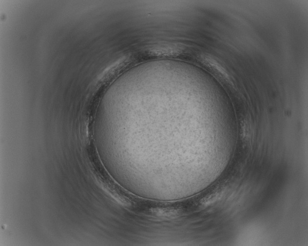 X0000062870733200601171421