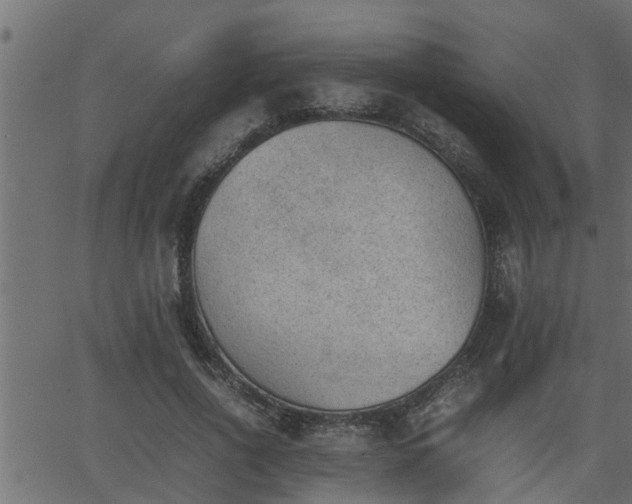 X0000062870734200601171421