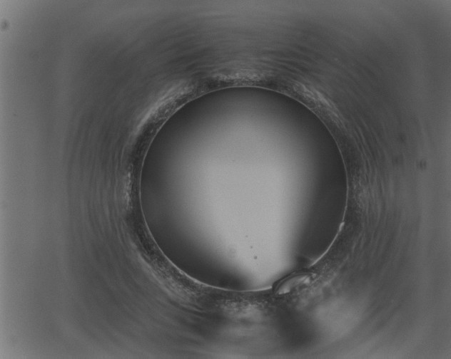 X0000062870735200601171421