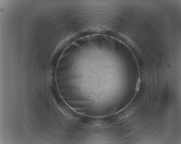 X0000062870736200601171421