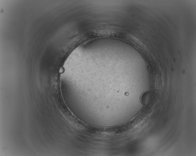 X0000062870737200601171421