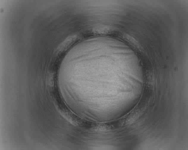 X0000062870738200601171421