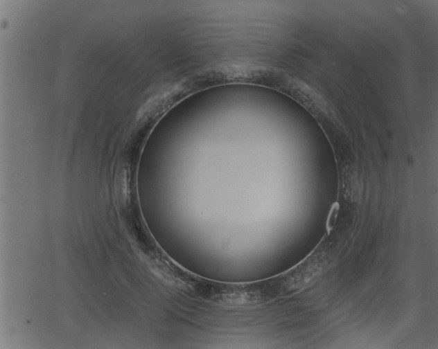 X0000062870740200601171421