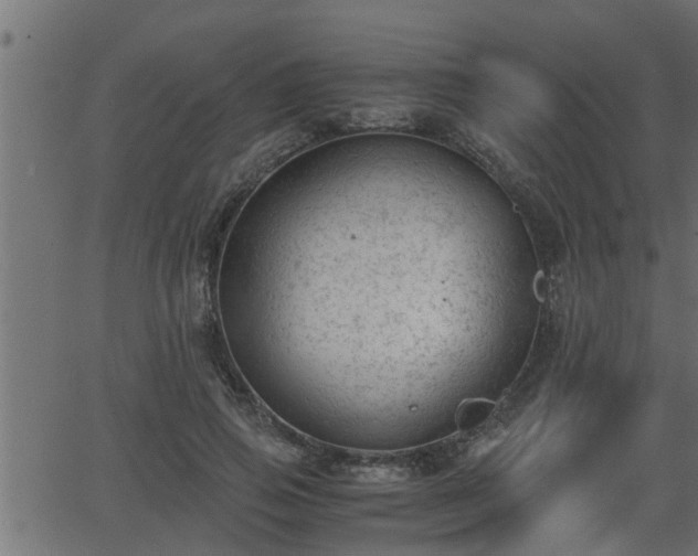 X0000062870741200601171421