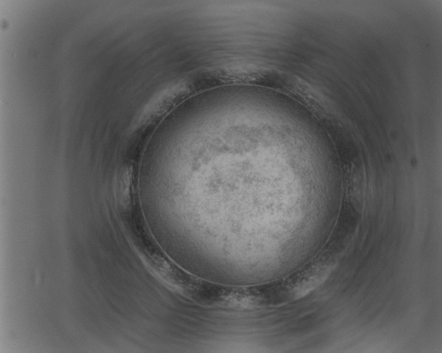 X0000062870742200601171421