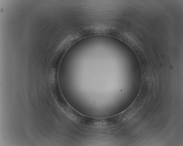 X0000062870744200601171421