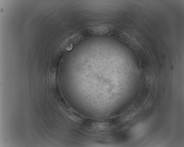 X0000062870745200601171421