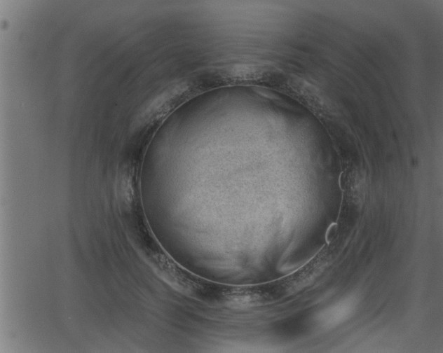 X0000062870746200601171421