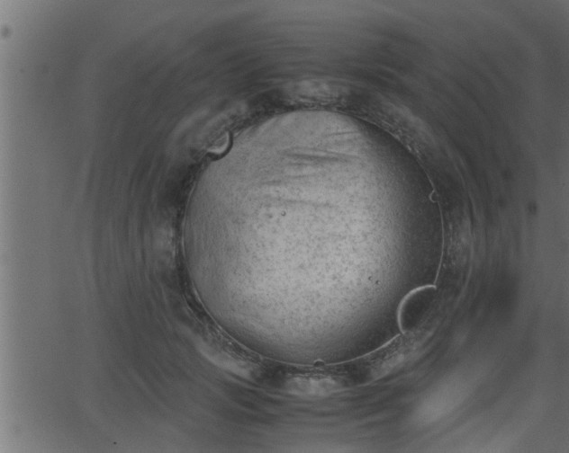 X0000062870749200601171421