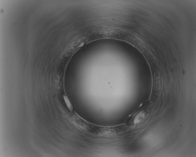 X0000062870750200601171421