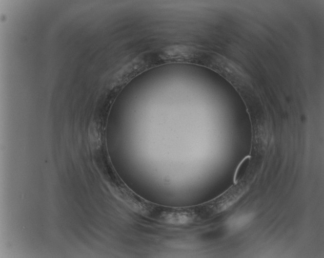 X0000062870751200601171421