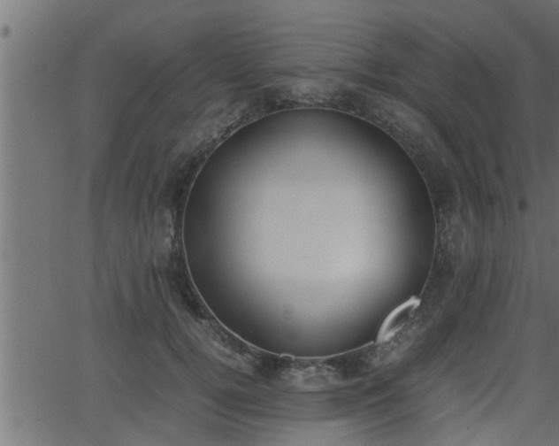 X0000062870752200601171421