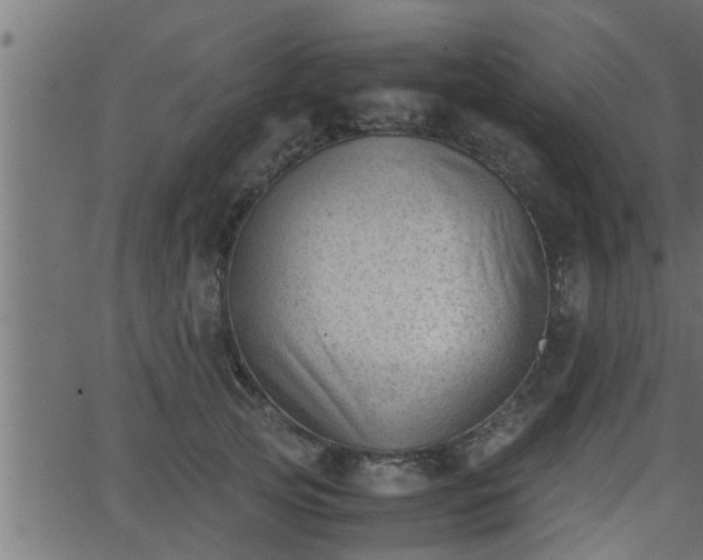 X0000062870753200601171421