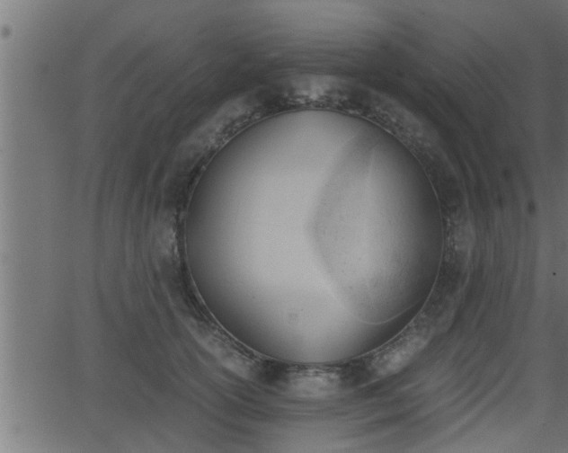 X0000062870754200601171421