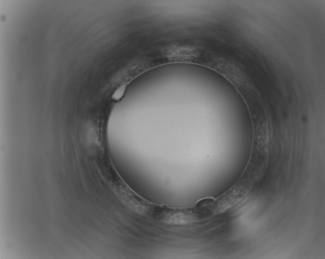 X0000062870755200601171421