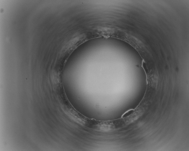 X0000062870756200601171421